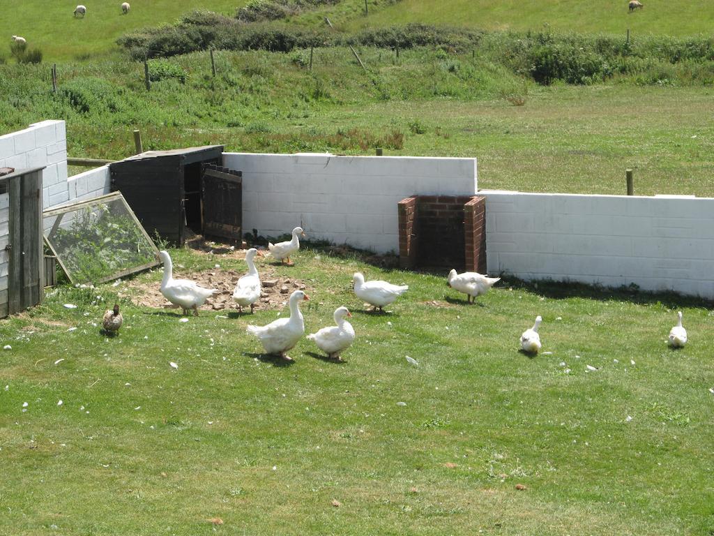 Upton Cross B&B Bude Eksteriør bilde