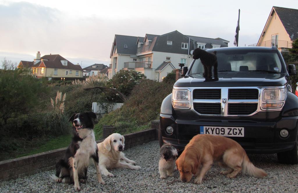 Upton Cross B&B Bude Eksteriør bilde