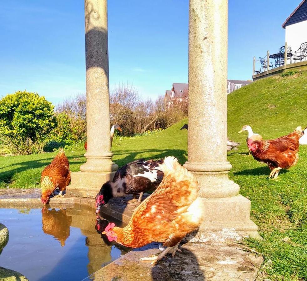Upton Cross B&B Bude Eksteriør bilde