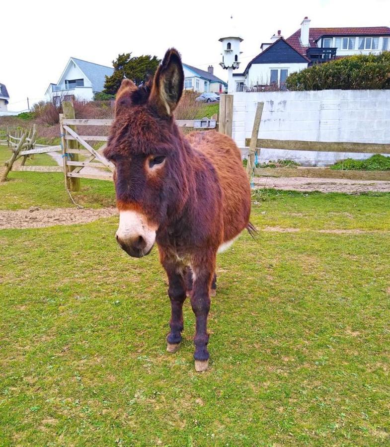 Upton Cross B&B Bude Eksteriør bilde